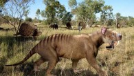 Thylacosmilus atrox with glyptodon and toxodonts in the background (Rom-diz)