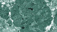 Chondrules are visible as round objects in this electron image of a polished thin section made from the Bishunpur meteorite from India; the dark grains are iron-poor olivine crystals (Steven Simon)