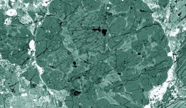 Chondrules are visible as round objects in this electron image of a polished thin section made from the Bishunpur meteorite from India; the dark grains are iron-poor olivine crystals (Steven Simon)