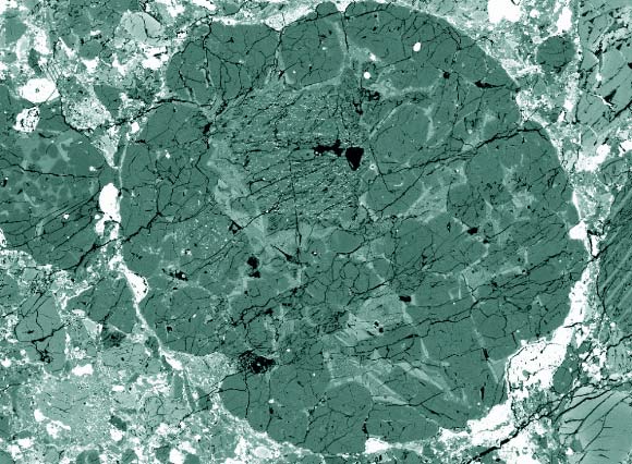 Chondrules are visible as round objects in this electron image of a polished thin section made from the Bishunpur meteorite from India; the dark grains are iron-poor olivine crystals (Steven Simon)