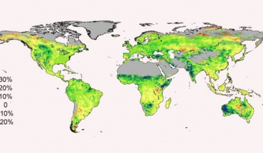 Satellite data shows the per cent amount that foliage cover has changed around the world from 1982 to 2010 (Randall Donohue et al)