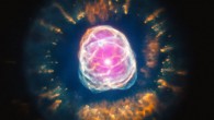 This image combines data from two different observatories: Chandra X-ray data – purple; Hubble data - red, green, and blue. X-ray data from Chandra reveal the location of million-degree gas near the center of the planetary nebula. Hubble data show the intricate pattern of the outer layers of the star that have been ejected (X-ray: NASA / CXC / IAA-CSIC / N. Ruiz et al; optical: NASA / STScI)