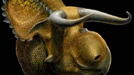Nasutoceratops titusi (University of Utah)