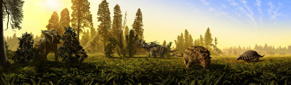 This image shows different dinosaur species, left to right: Chasmosaurus belli, Lambeosaurus lambei, Styracosaurus albertensis, Euoplocephalus tutus, Prosaurolophus maximus, Panoplosaurus mirus and a herd of S. albertensis in the background (© J.T. Csotonyi)