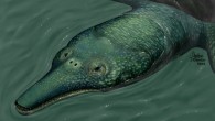 Reconstruction of Ocepechelon bouyai (Bardet N et al / C. Letenneur / MNHN / CC-BY)