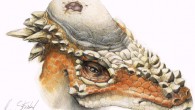 Reconstruction of the pachycephalosaurid Pachycephalosaurus wyomingensis with cranial lesion (Peterson JE et al)