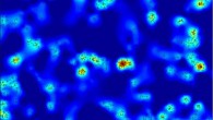 This fluorescence microscopy image shows natural killer cells (Pageon SV et al)