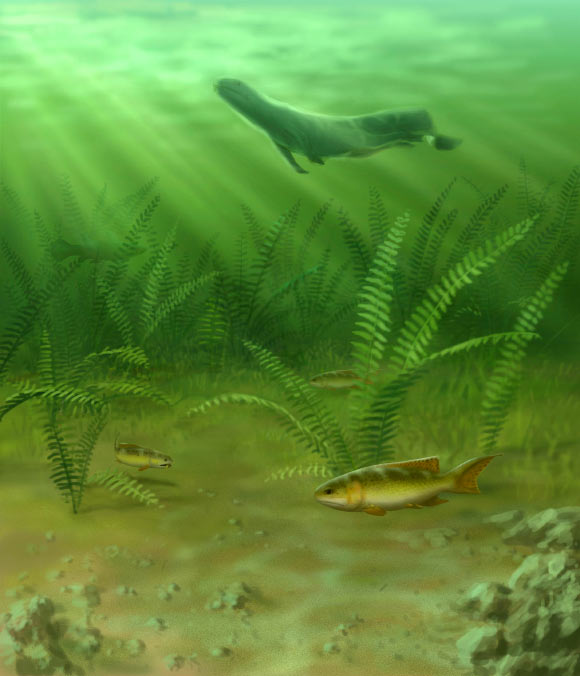 Fouldenia is shown swimming along the bottom of a tropical freshwater floodplain about 348 million years ago (John Megahan)