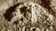 1.75-million-year-old ambergris fossil (Angela Baldanza et al).