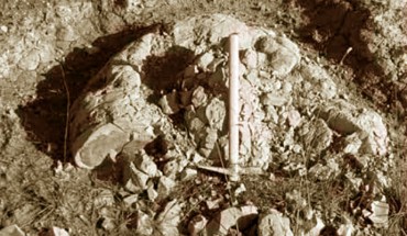 1.75-million-year-old ambergris fossil (Angela Baldanza et al).