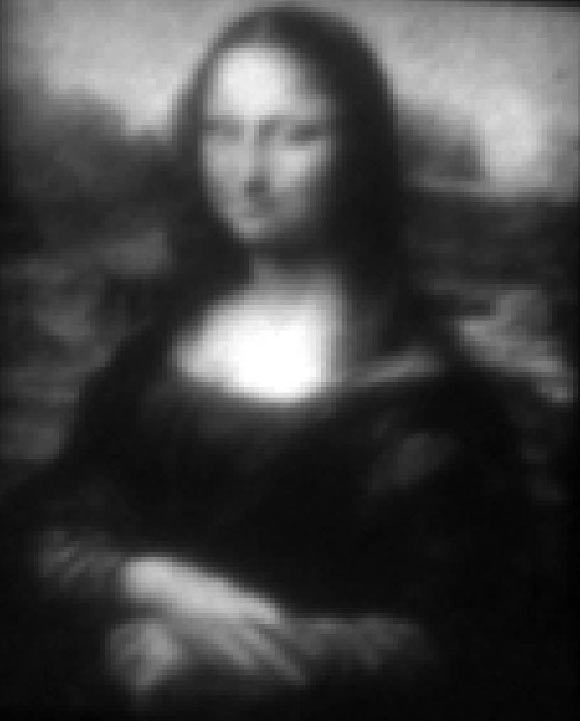 Researchers have painted the Mini Lisa on a substrate surface about 30 microns in width (Carroll KM et al)