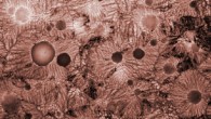 The round nodules are the q-glass, not crystalline but with a well-defined chemical composition (Leonid A. Bendersky / NIST)