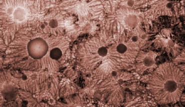 The round nodules are the q-glass, not crystalline but with a well-defined chemical composition (Leonid A. Bendersky / NIST)