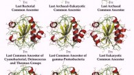 Seven Precambrian thioredoxins and the extant E. coli and human thioredoxins (Ingles-Prieto et al).