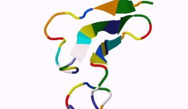 This image shows the structure of human Epiregulin. Image credit: Jmol Development Team.