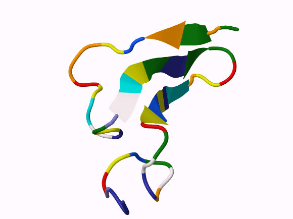 This image shows the structure of human Epiregulin. Image credit: Jmol Development Team.