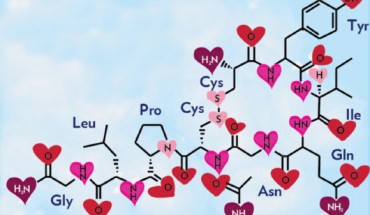 Stylized structural diagram of oxytocin (DARPA).