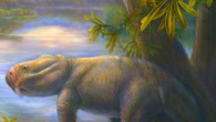 The pig-size Permian anomodont Dicynodon lacerticeps (Marlene Donnelly / Field Museum of Natural History).