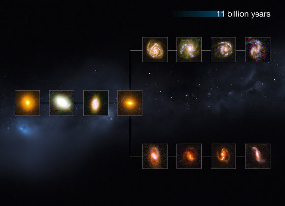 This diagram shows a slice of the Universe some 11 billion years back in time. On the left of the diagram are the ellipticals, with lenticulars in the middle, and the spirals branching out on the right side (NASA / ESA / M. Kornmesser).