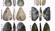 Left: Mousterian of Acheulean Tradition hand axes, from top to bottom - cordiform hand axe from Le Moustier, France; triangular hand axe from St. Just en Chaussée, France; hand axe from Lynford, UK (Karen Ruebens). Right: Keilmessergruppen Tradition hand axes, from top to bottom - keilmesser from Sesselfesgrotte, Germany; keilmesser from Abri du Musée, France; faustkeilblatt from Königsaue, Germany (Karen Ruebens).