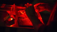 The study finds red light least harmful, while blue light is worst. Image credit: Bryan William Jones / University of Utah.