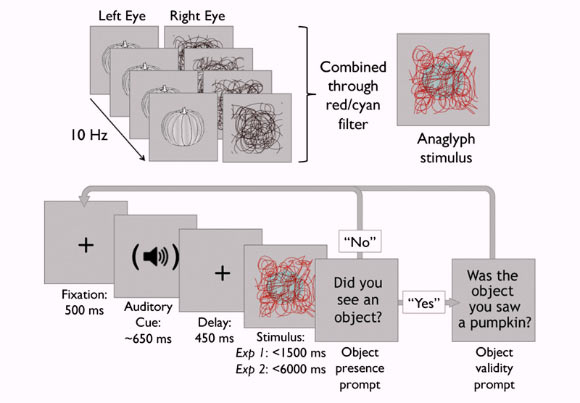 These images show the procedure of experiments: participants wore red-cyan glasses and viewed stereograms containing a high-contrast red mask and a superimposed lower-contrast cyan object (Gary Lupyan / Emily J. Ward).