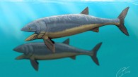 Leedsichtys problematicus (Dmitry Bogdanov / CC BY 3.0).