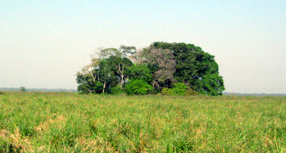 Panorama of the site of Isla del Tesoro (Lombardo U et al).