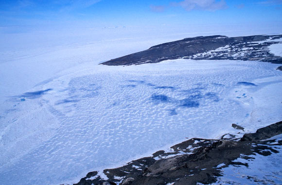 Hodgson Lake (David A. Pearce et al).