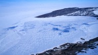Hodgson Lake (David A. Pearce et al).