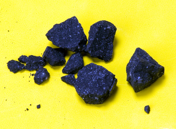 Fragments of the Sutter's Mill meteorite collected by NASA astronomer Dr Peter Jenniskens two days after the fall (NASA / Eric James).