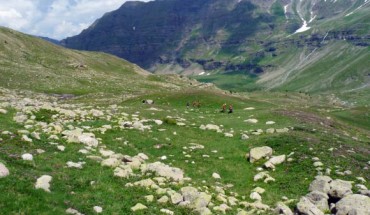 Dr Walsh with colleagues at work excavating a Bronze Age site. Image credit: Kevin Walsh, the University of York.