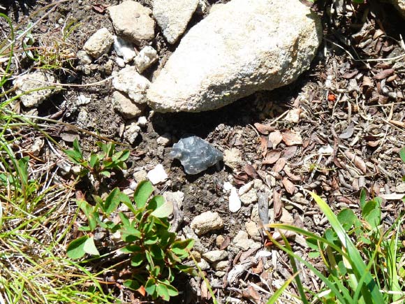 A Neolithic flint arrow head at about 2.5 km, the highest altitude arrowhead discovered in the Alps. Image credit: Kevin Walsh, the University of York.