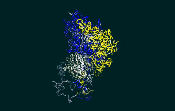 This image shows a structural model of a chromosome from a white blood cell. Image credit: University of Cambridge.