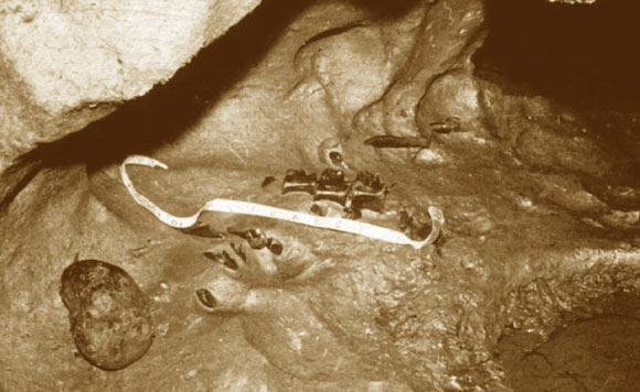 Sea cow fossils of in the Selminum Tem cave, 1975. Image credit: Erich M. G. Fitzgerald et al.