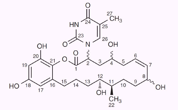 Structure of macplocimine A. Image credit: Xiang Li et al.