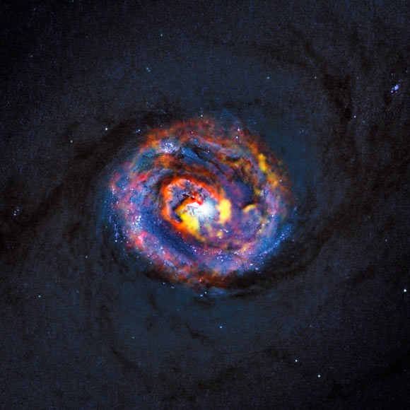 This composite image shows the central parts of the nearby active galaxy NGC 1433. Image credit: ALMA / ESO / NAOJ / NRAO / NASA / ESA / F. Combes.