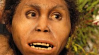 This is an artist's reconstruction of female Homo from Dmanisi, Georgia. Image credit: Elisabeth Daynes, via tabula.ge.