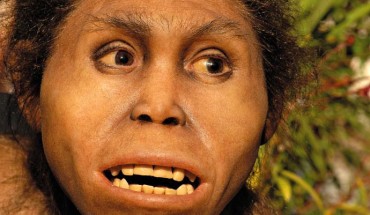 This is an artist's reconstruction of female Homo from Dmanisi, Georgia. Image credit: Elisabeth Daynes, via tabula.ge.