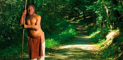Reconstruction of a Neanderthal. Image credit: Neanderthal Museum.