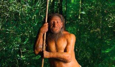 Reconstruction of a Neanderthal. Image credit: Neanderthal Museum.