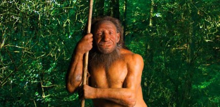 Reconstruction of a Neanderthal. Image credit: Neanderthal Museum.