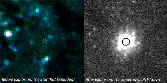 This image shows the Type Ib supernova iPTF13bvn and its progenitor star. Image credit: Yi Cao et al.