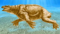 This artwork shows a juvenile Neoparadoxia cecilialina in swimming posture. Image credit: Doyle V. Trankina.