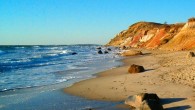 Scientists say that clay in ocean water may have been the birthplace of life on our planet. Image credit: Jared / CC BY-SA 3.0.
