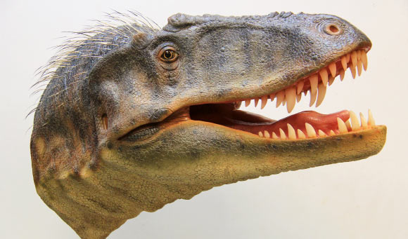 Reconstructed head of Lythronax argestes. Image credit: Gary Staab.