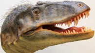 Reconstructed head of Lythronax argestes. Image credit: Gary Staab.