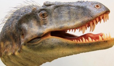 Reconstructed head of Lythronax argestes. Image credit: Gary Staab.