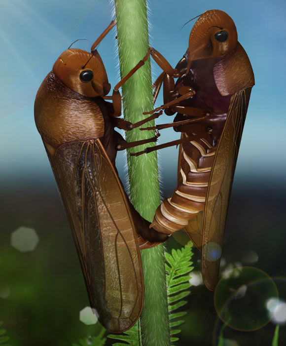 This is an artist's impression of a pair of copulating froghoppers, Anthoscytina perpetua. Image credit: Li S et al.