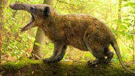 This is an artist's reconstruction of Deinogalerix koenigswaldi, the largest known Deinogalerix species. Image credit: © Roman Yevseyev / Other-worlds.ucoz.ru.